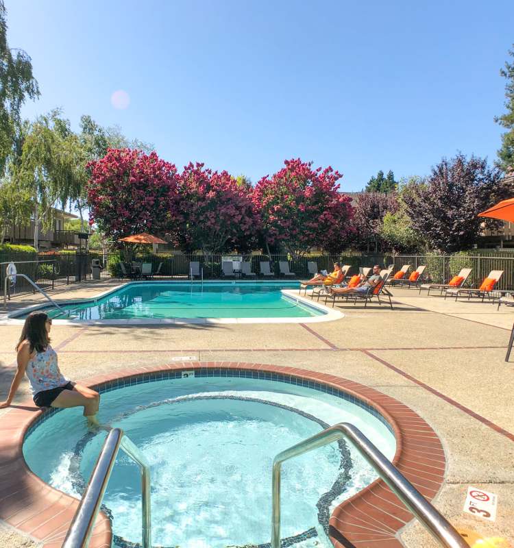 Resort Style Pool and spa at The Shadows Apartments in Mountain View, California