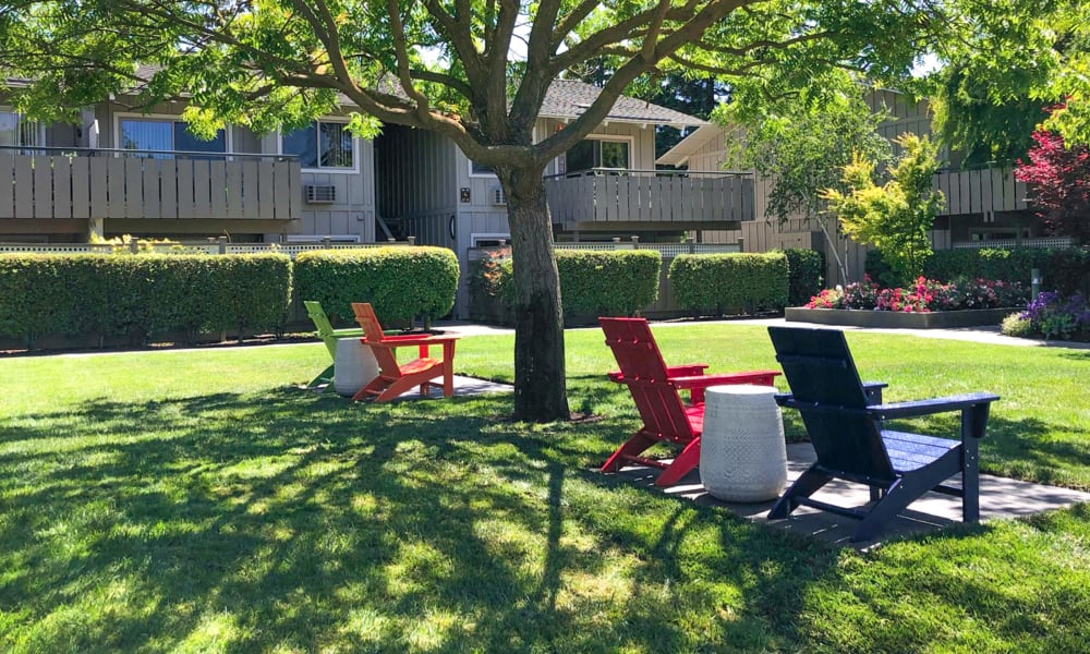 The Shadows Apartments outdoor seating area