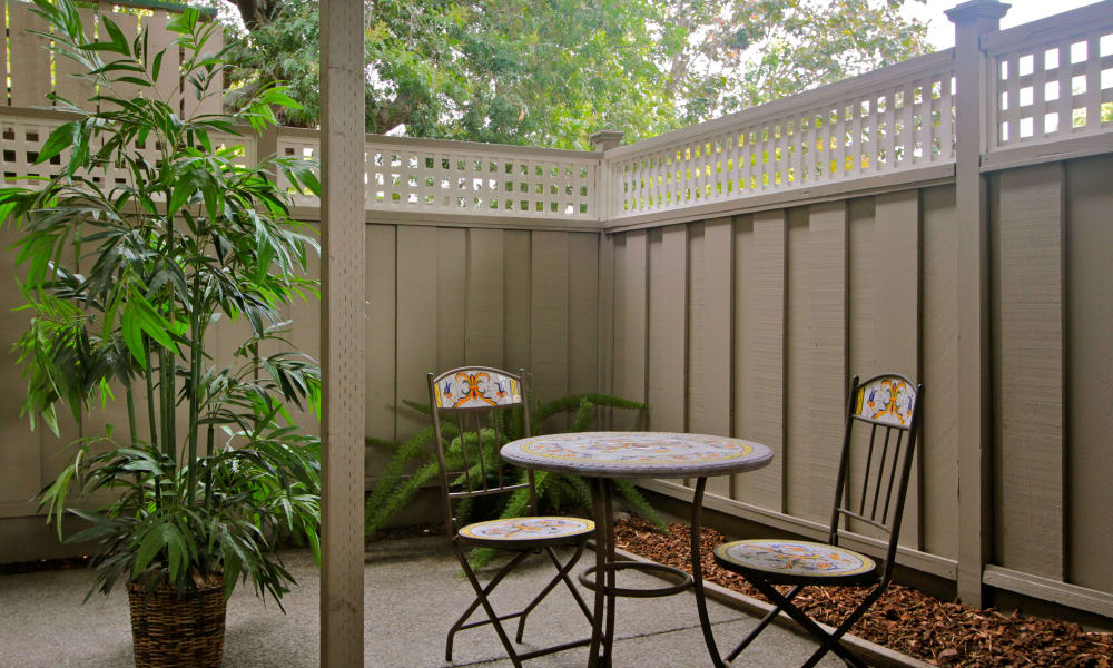 The Shadows Apartments large size patio